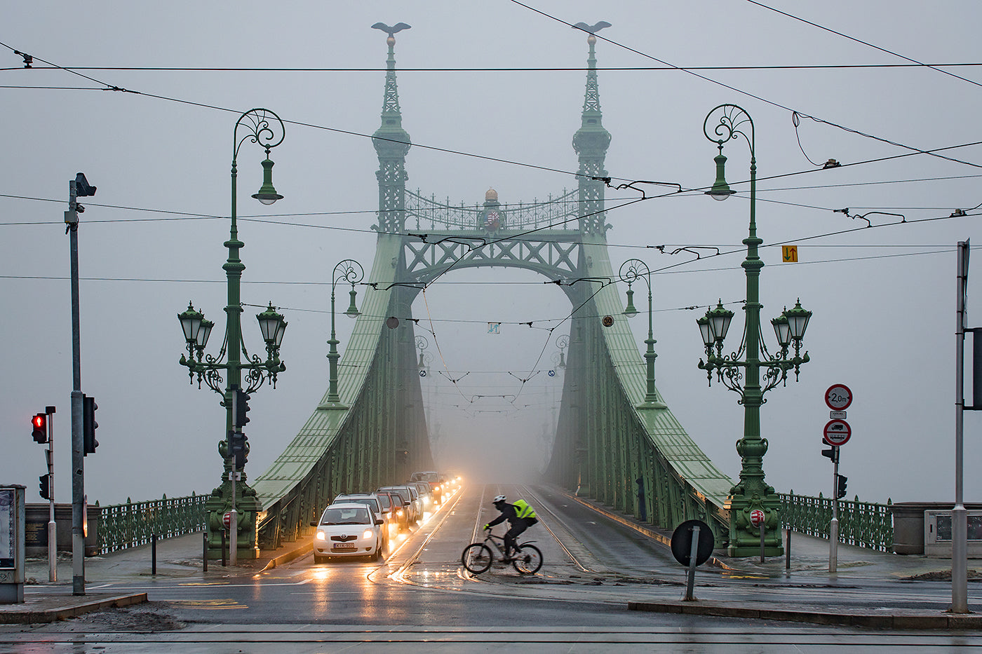 Foggy Liberty Bridge from Gellért Square #1196