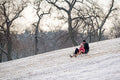 Sledding in the City Park #1201