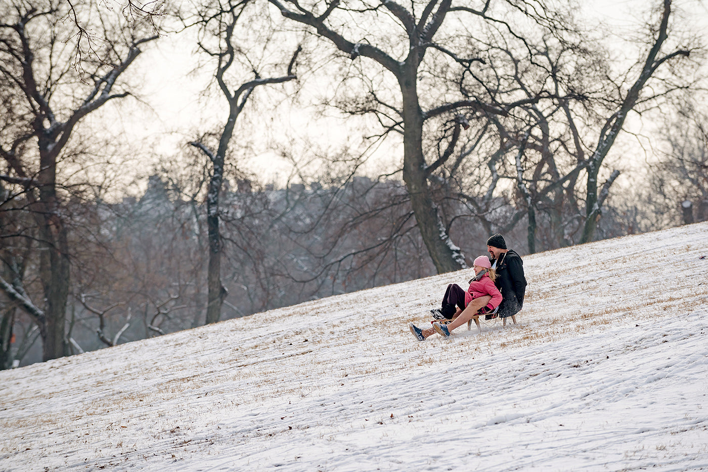 Sledding in the City Park #1201