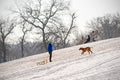Sledding in the City Park #1202