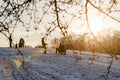 Sledding in the City Park #1208