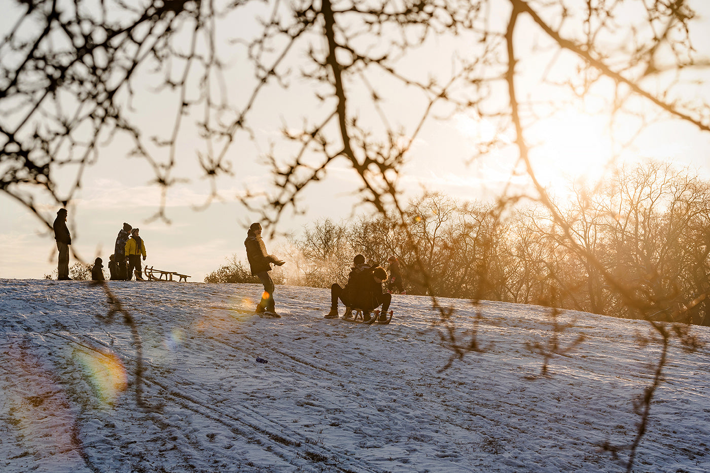 Sledding in the City Park #1208
