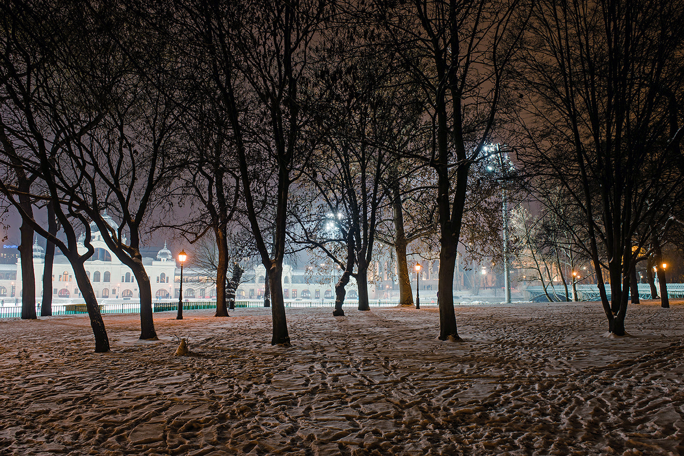Evening lights in the City Park in winter #1210