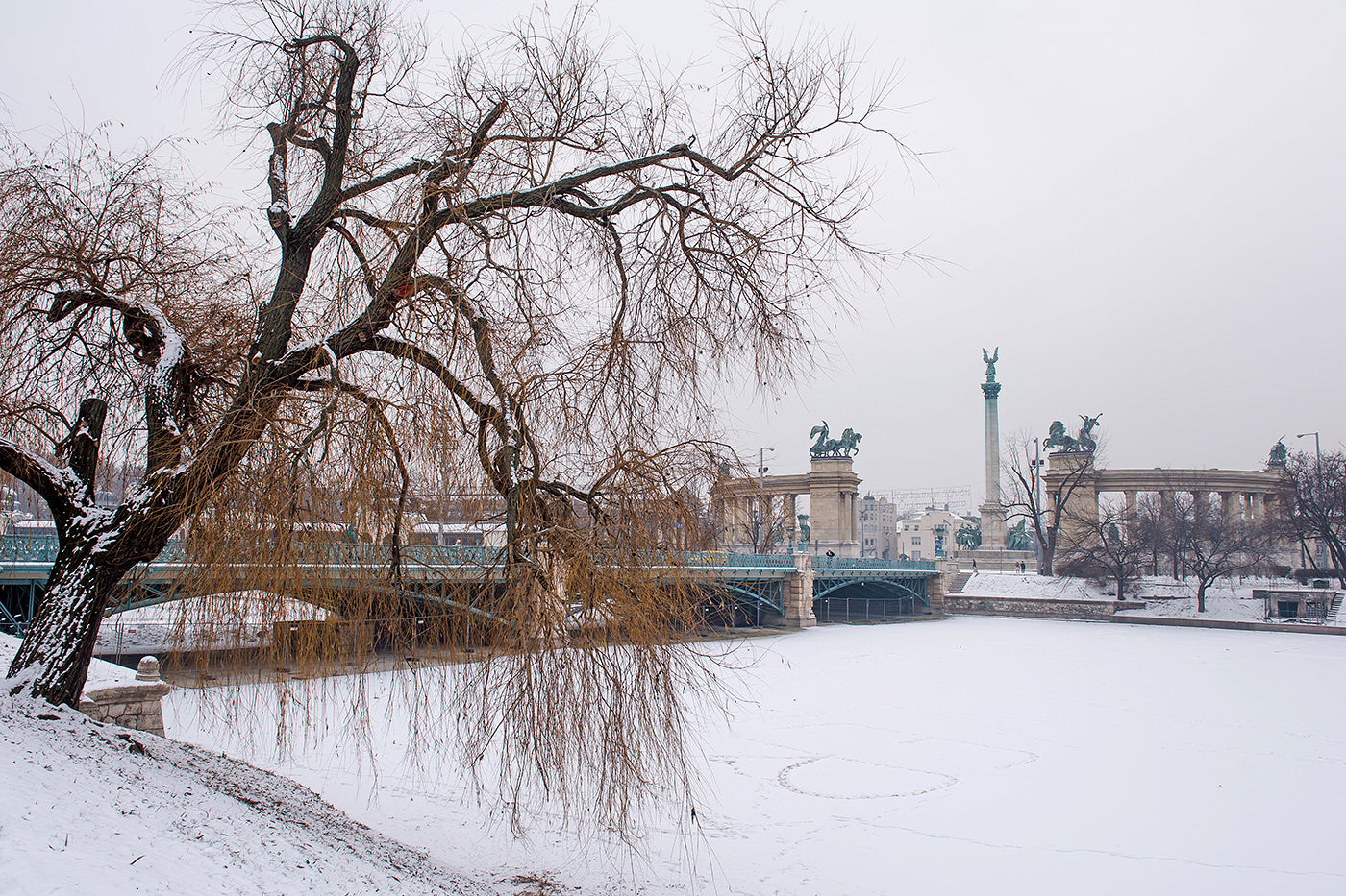 Snow-covered City Park Lake #1213