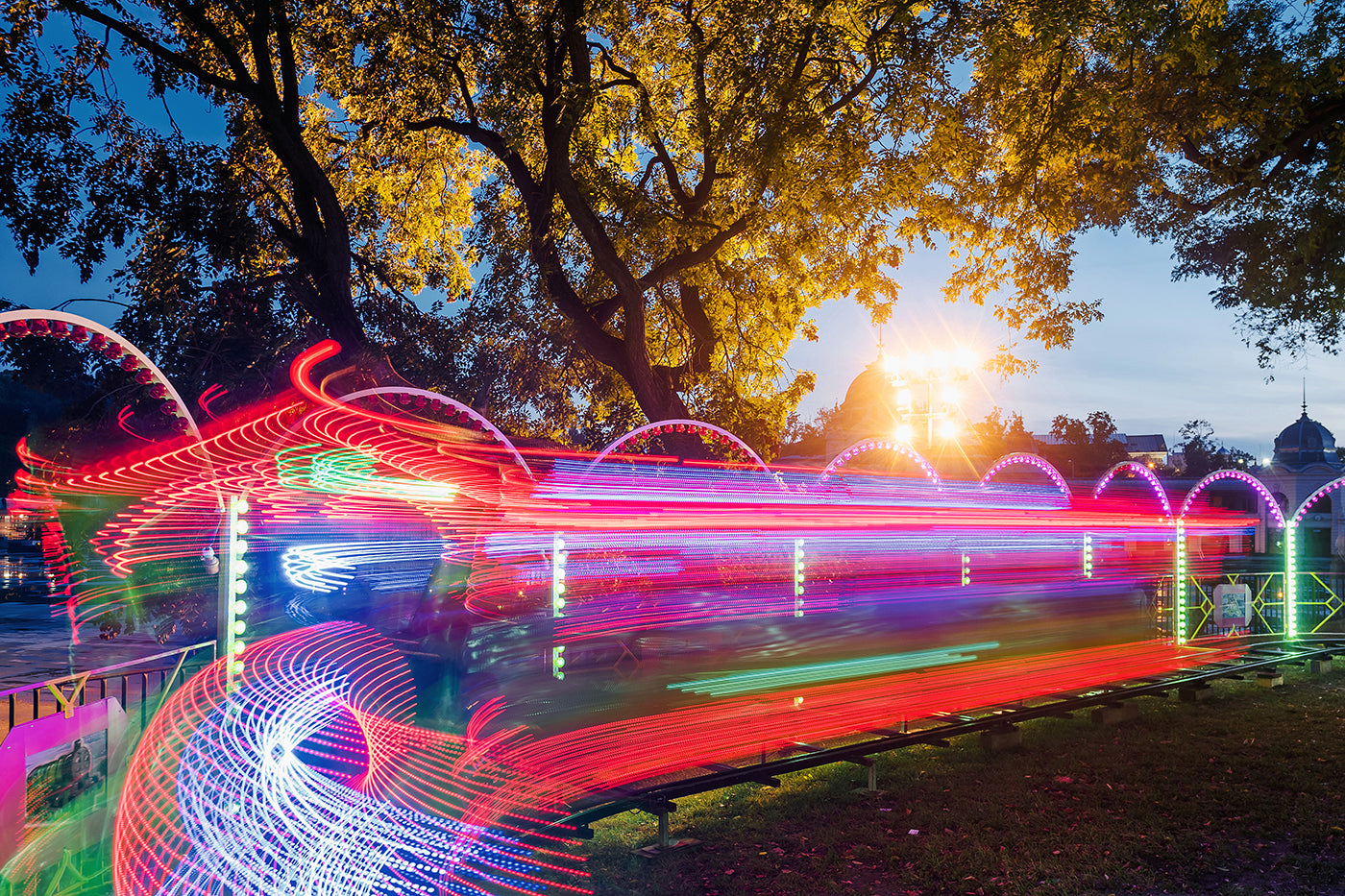 Miniature railway in the City Park #1217