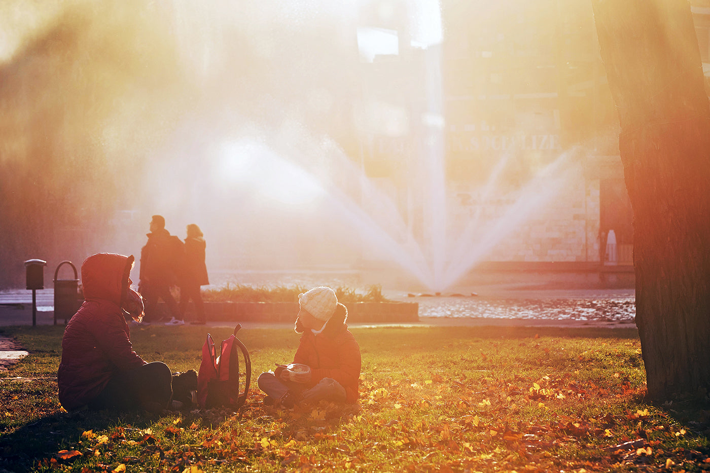 Autumn mood in the City Park #1223