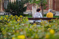 Elderly people talking in the City Park #1231