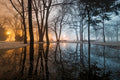 Budapest – Foggy Winter Evening in the City Park | Fine Art Giclée Print and Wall Art