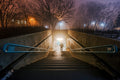Winter evening in the City Park #1234
