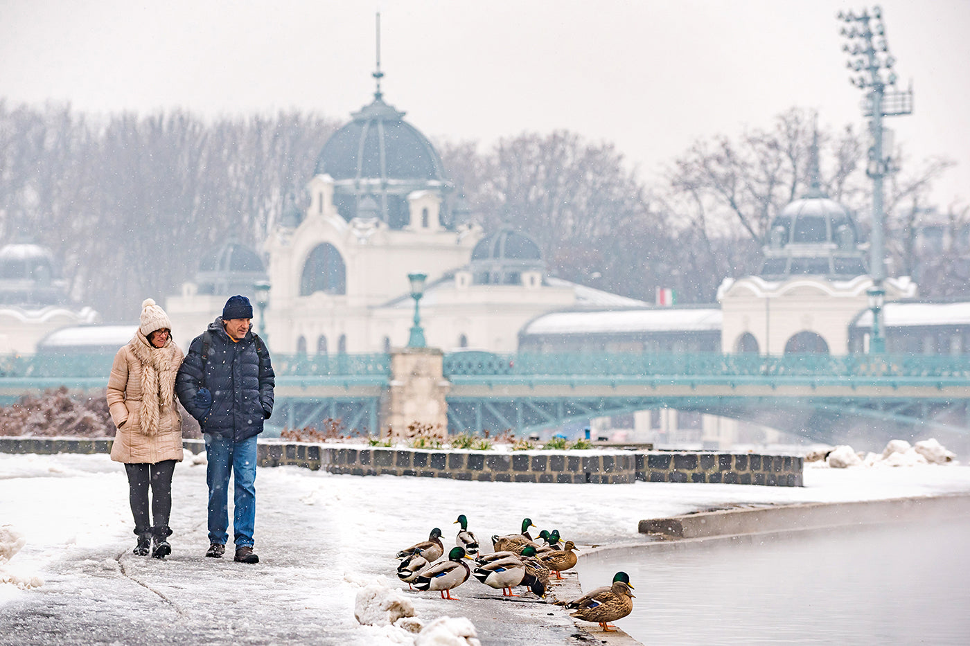Walking in the snowy City Park #1238
