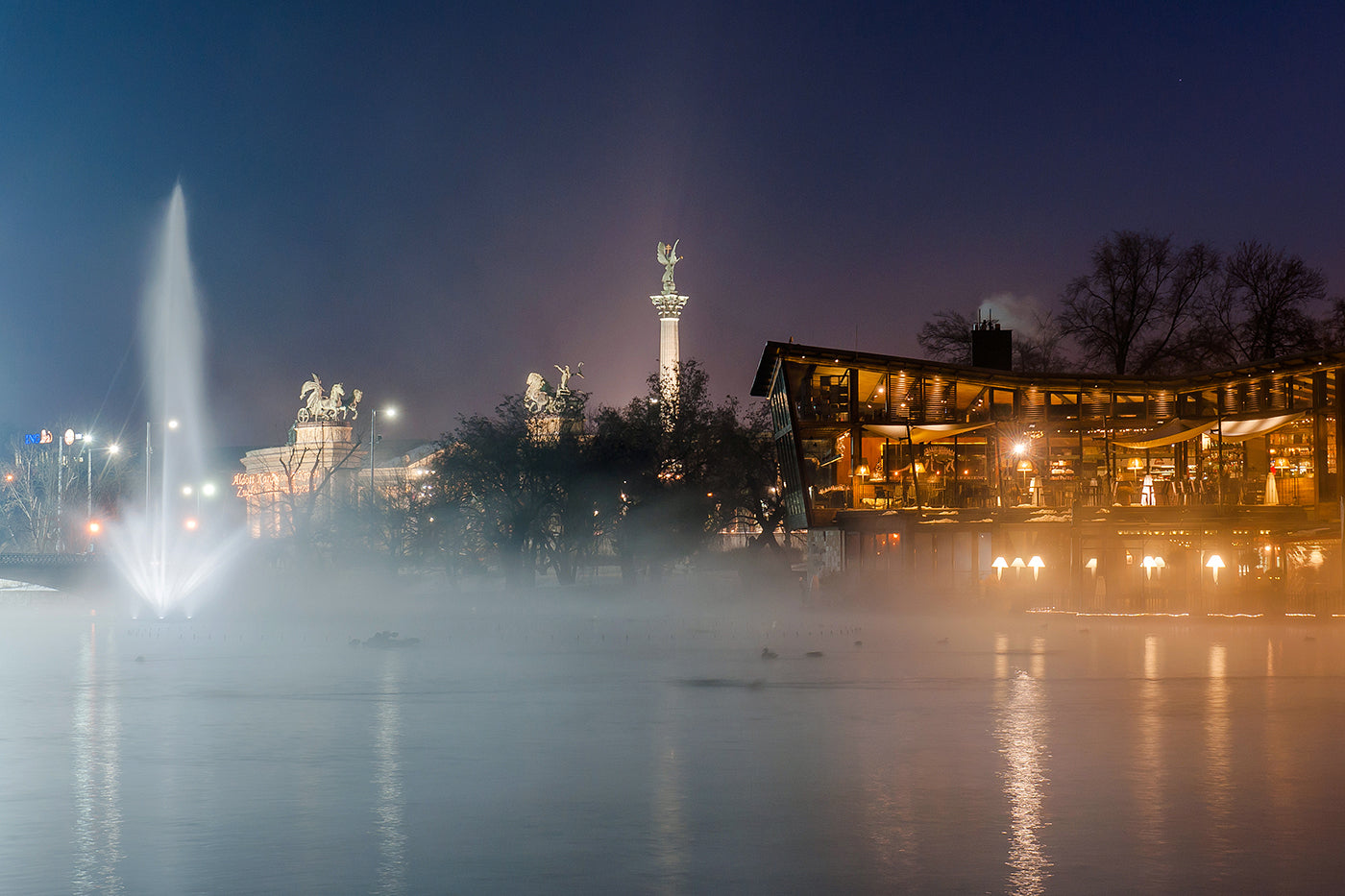 City Park Lake in winter #1239
