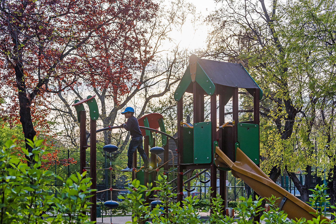 Playground in the City Park #1251