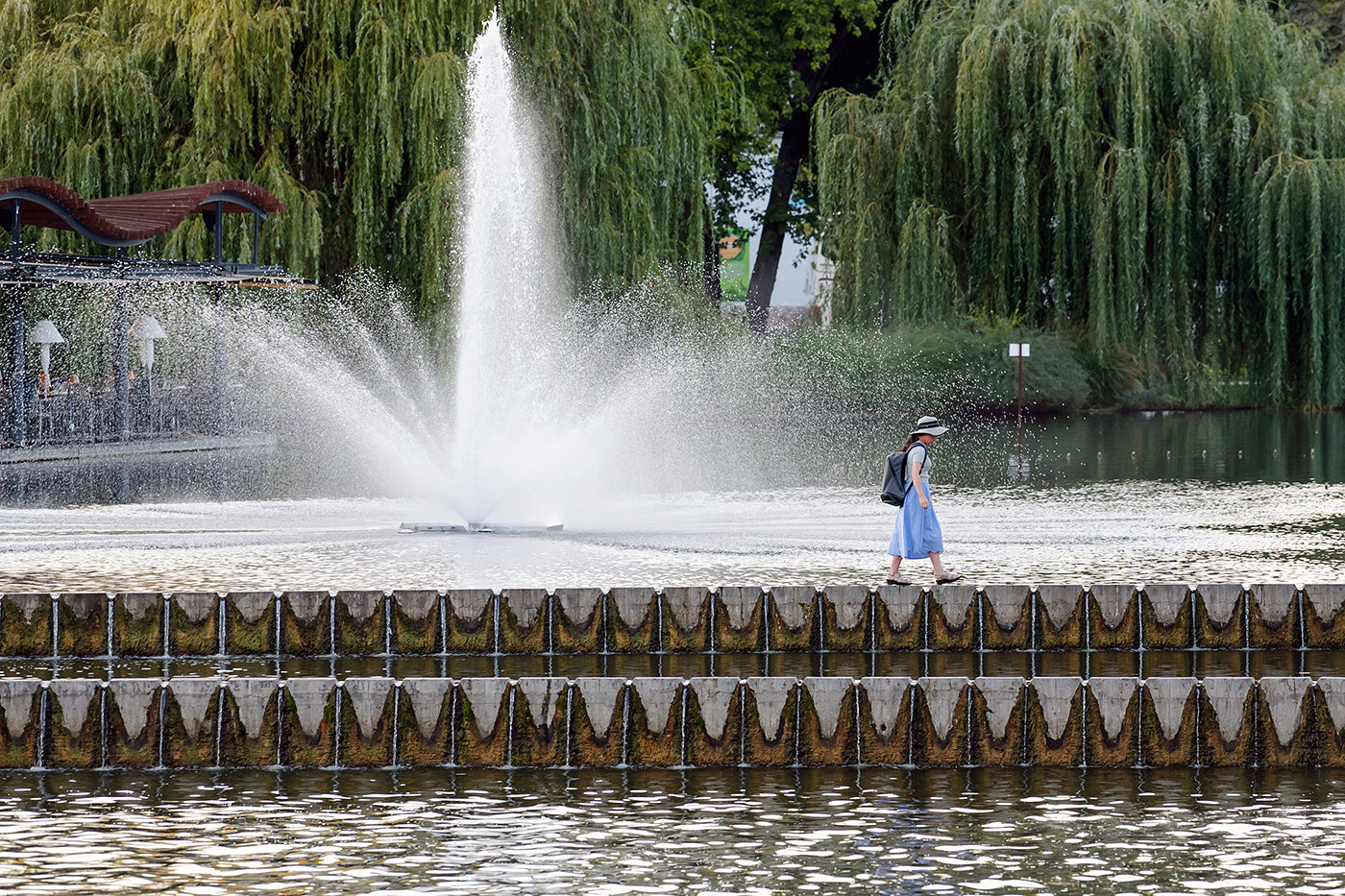 Crossing the City Park Lake #1258