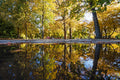 Autumn reflection in the City Park #1259