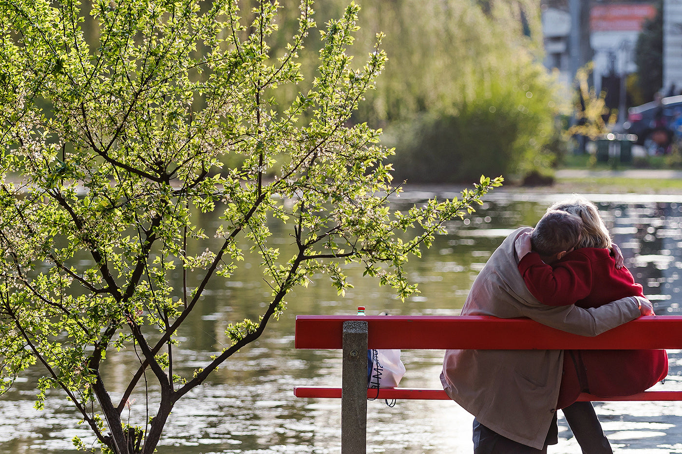 Couple in love at the City Park lake #1264