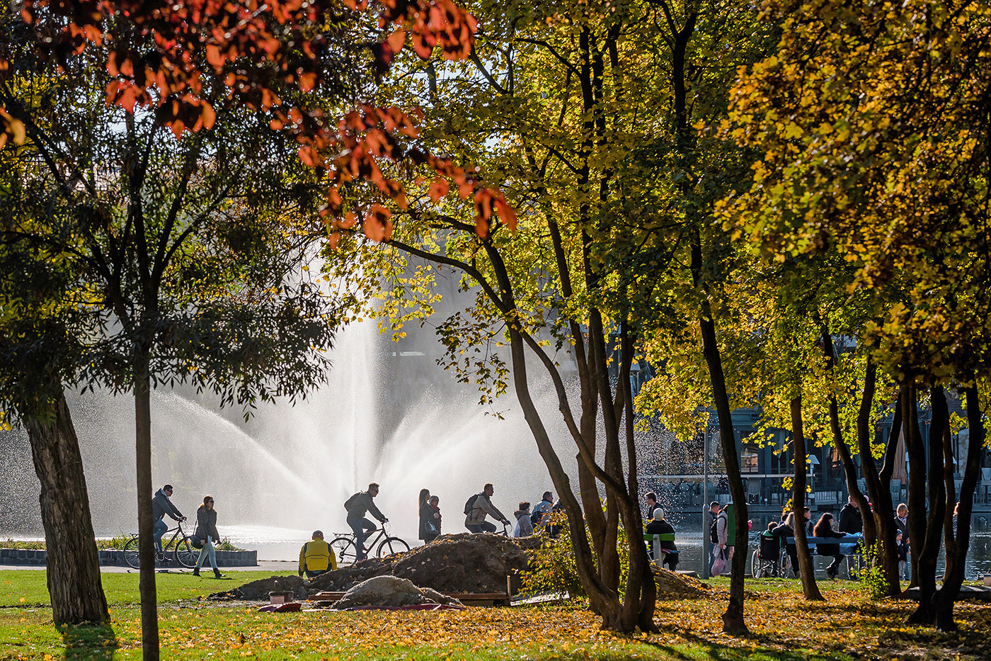 City Park Lake in Autumn #1267