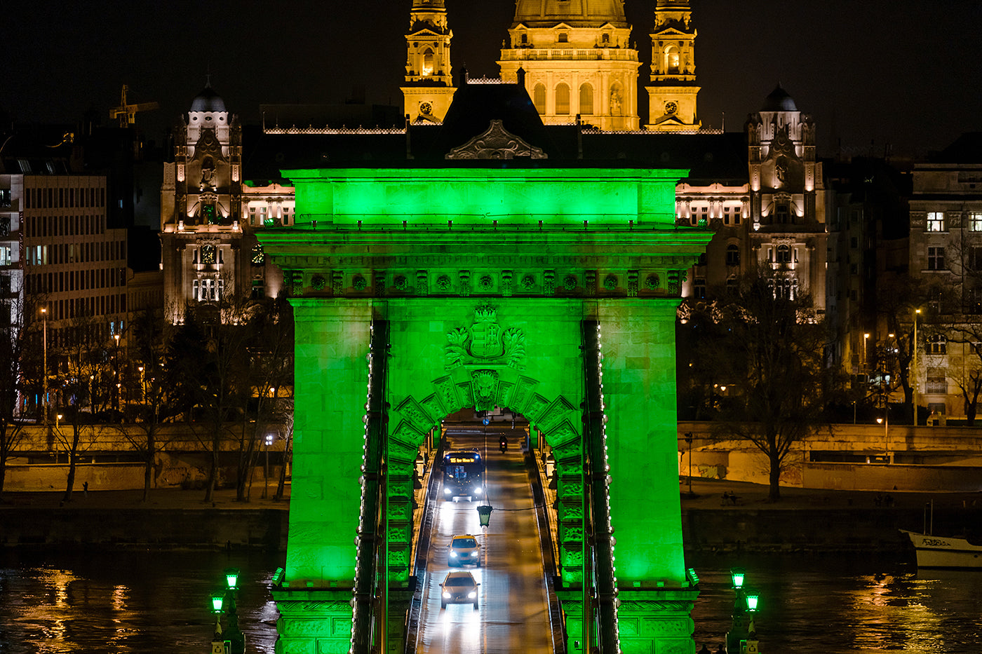 Green Chain Bridge from the top of the Tunnel #1383