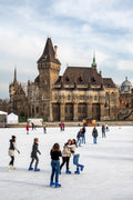 Skaters on the Artificial Ice #1501
