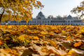 Artificial ice in autumn #1519