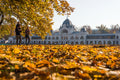 Artificial ice in autumn #1520
