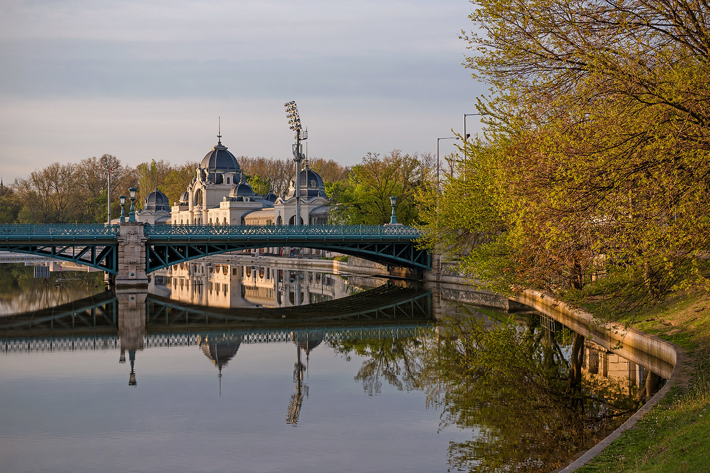 Artificial ice and the City Park Lake #1521