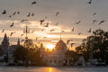Artificial ice with birds at sunrise #1522