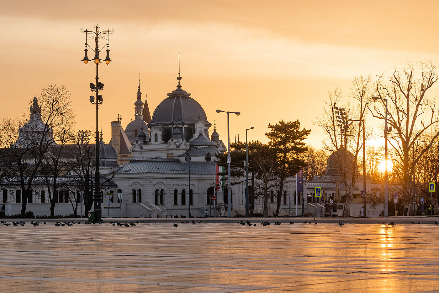 Artificial ice at sunrise #1525