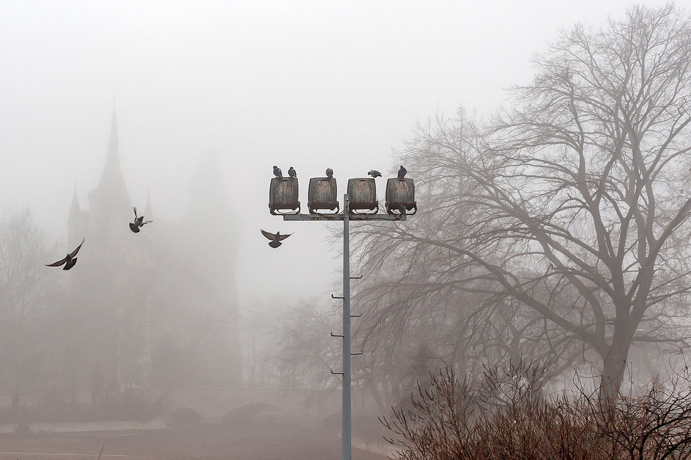 Foggy Vajdahunyad Castle #1551