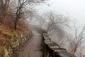 Foggy Gellért Hill #1563