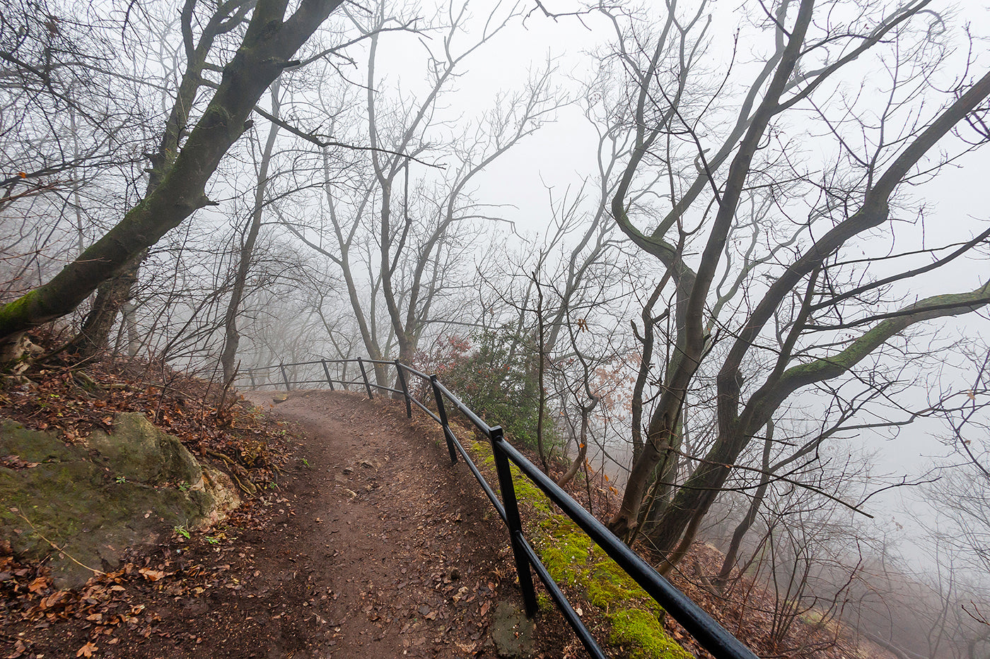 Foggy Gellért Hill #1565