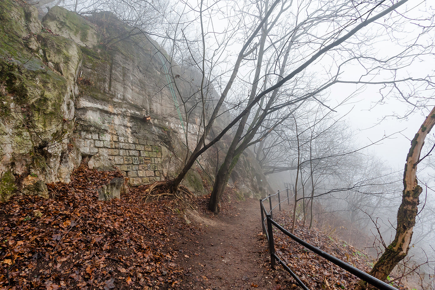 Foggy Gellért Hill #1567