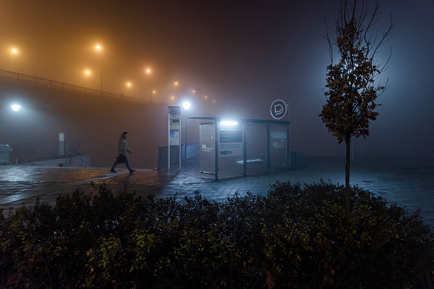 Ködös este a Nehru parton #1582