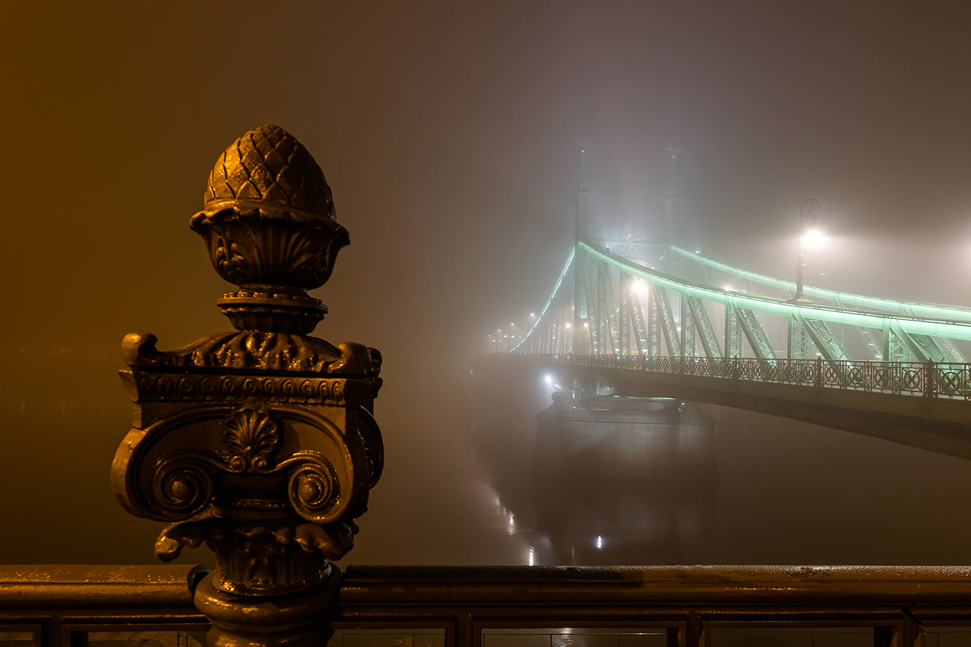 Foggy Liberty Bridge at night #1588