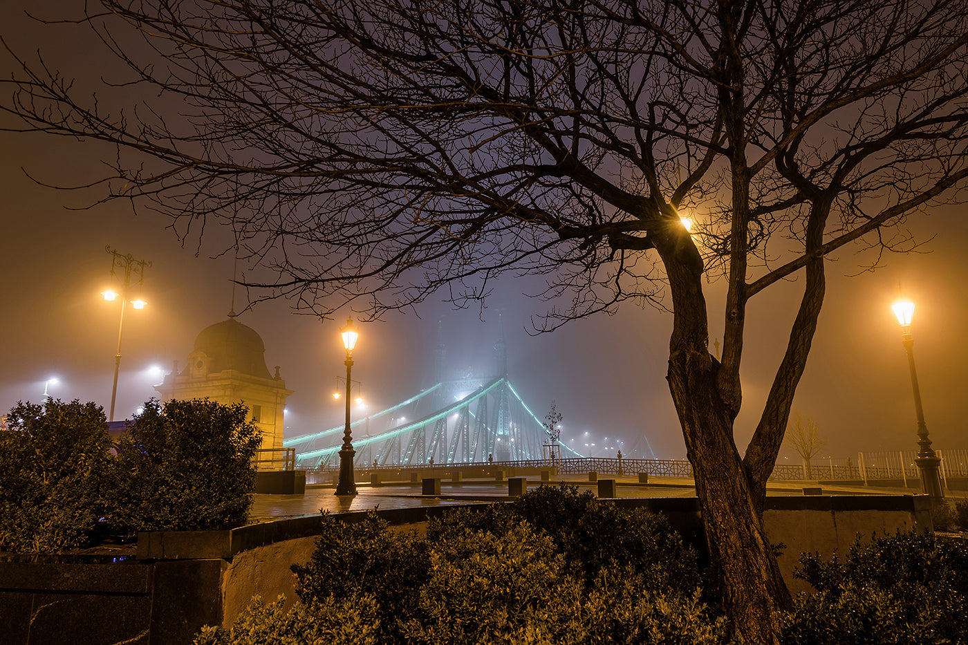 Foggy Liberty Bridge from Fővám Square #1590
