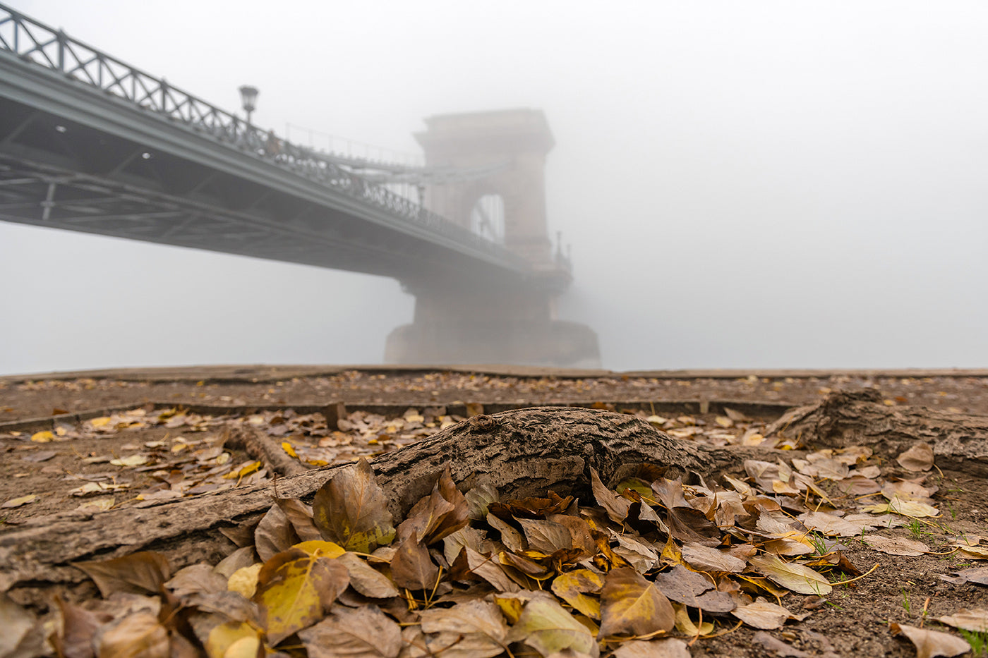 Chain Bridge in fog with autumn leaves #1624