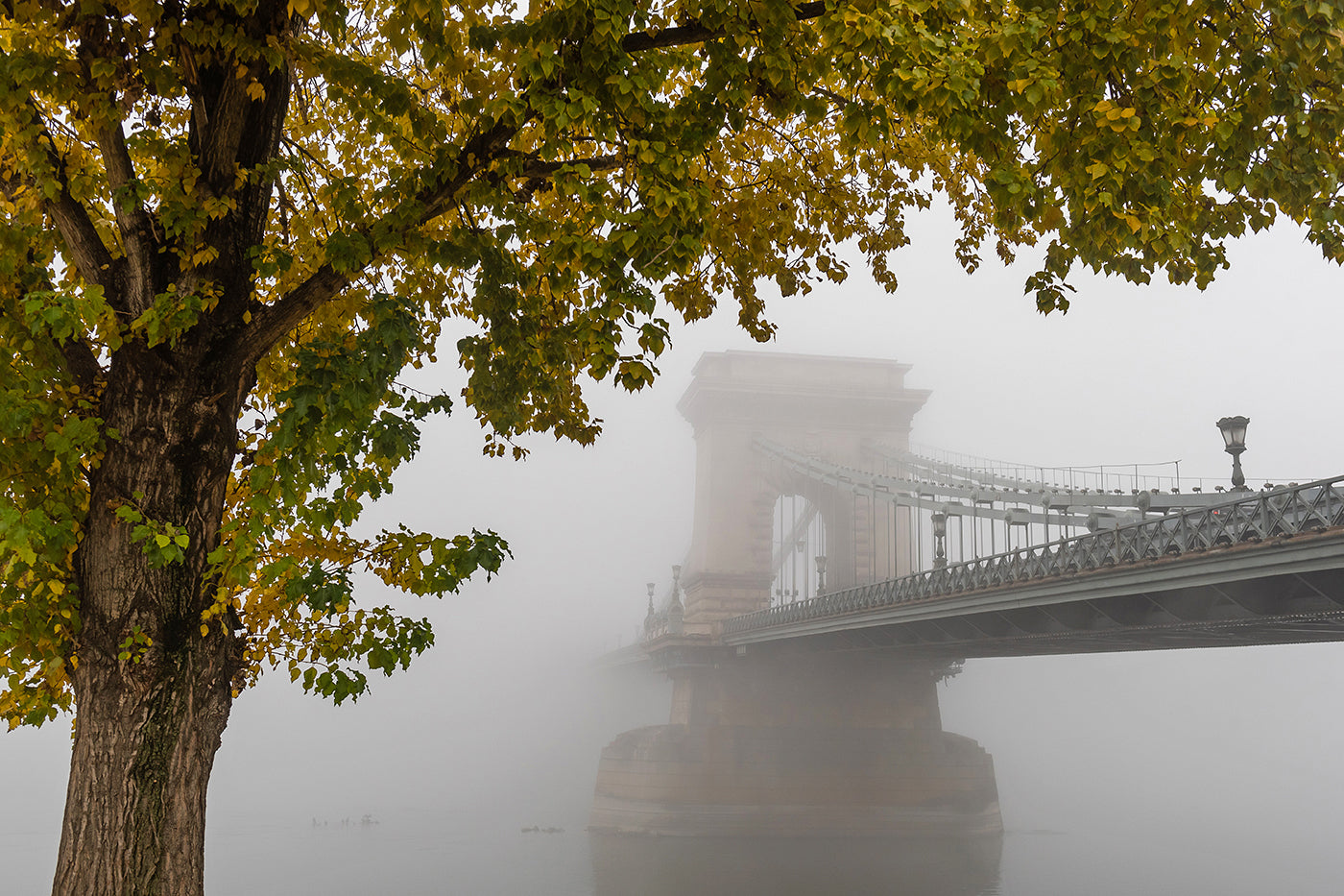 Chain Bridge in fog with autumn leaves #1625