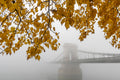 Budapest – Foggy Chain Bridge in Autumn | Fine Art Giclée Photo Print and Wall Art