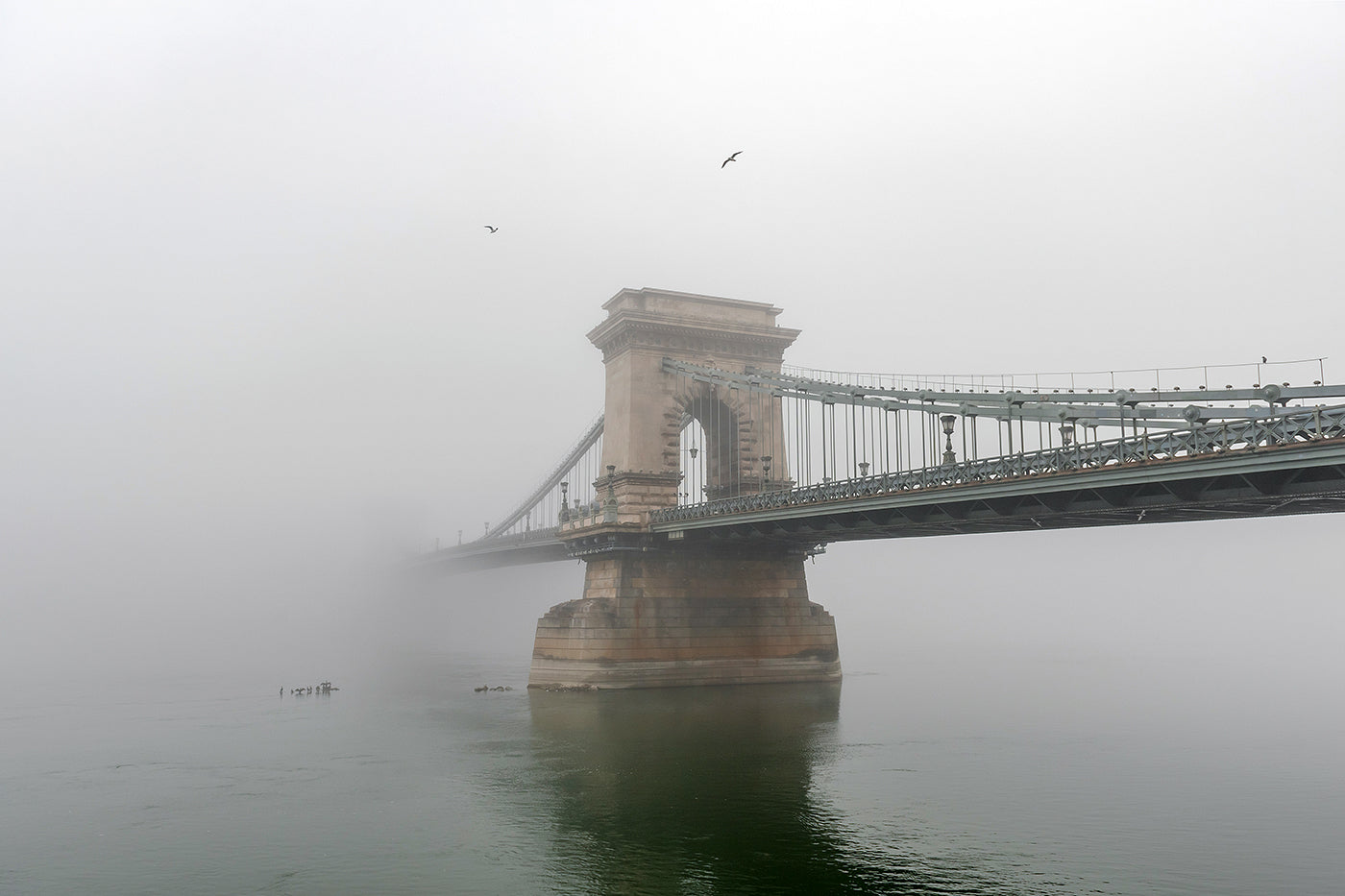 Chain Bridge in the fog #1632
