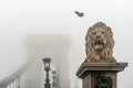 Chain Bridge in the fog #1637