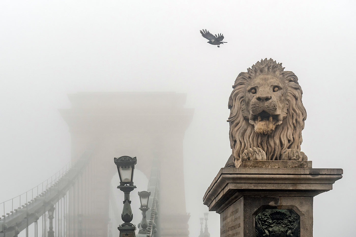 Chain Bridge in the fog #1637