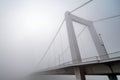 Elizabeth Bridge in fog #1643