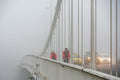 Elizabeth Bridge in fog #1648