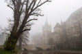 Vajdahunyad Castle in the fog #1649