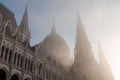 Parliament in fog #1861