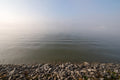 Danube bank in fog #1881