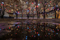 Christmas lights in City Hall Park after the rain #1950