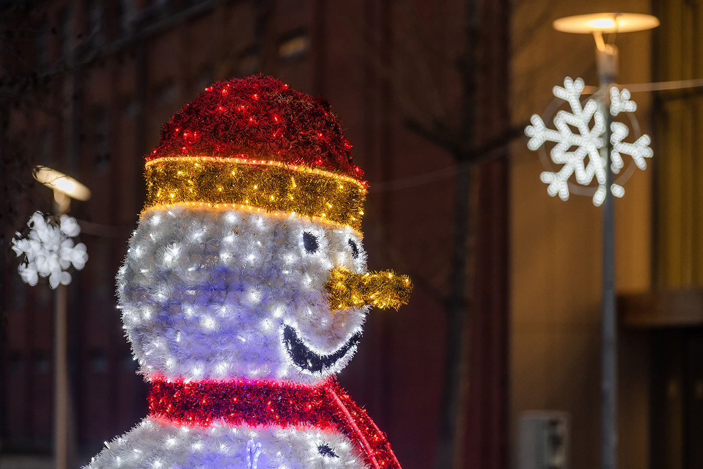 Light snowman in Millenáris Park #2039