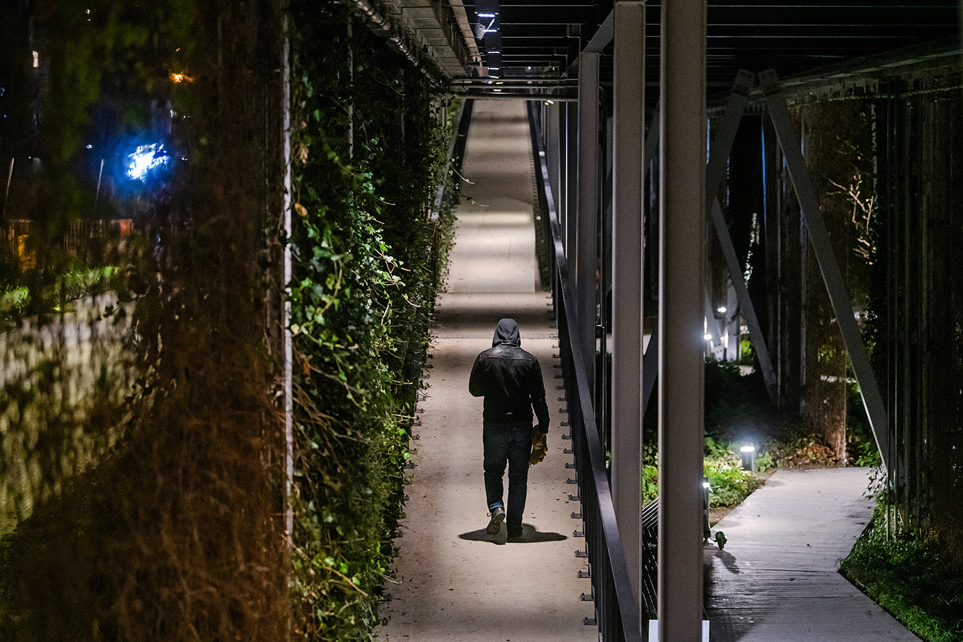 Millenary Park Overpass #2052