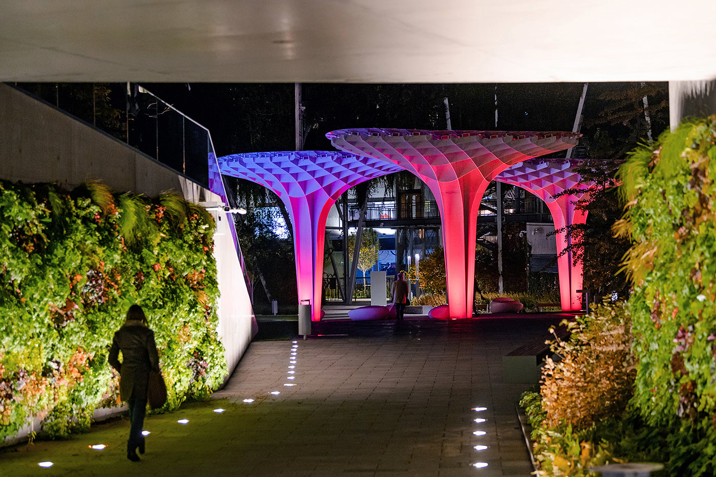 Millenary Park at night #2113