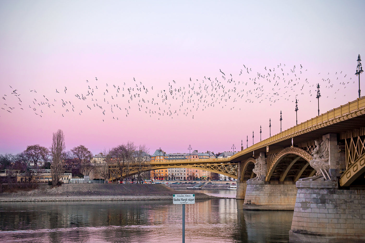 Birds at Margaret Bridge #2129